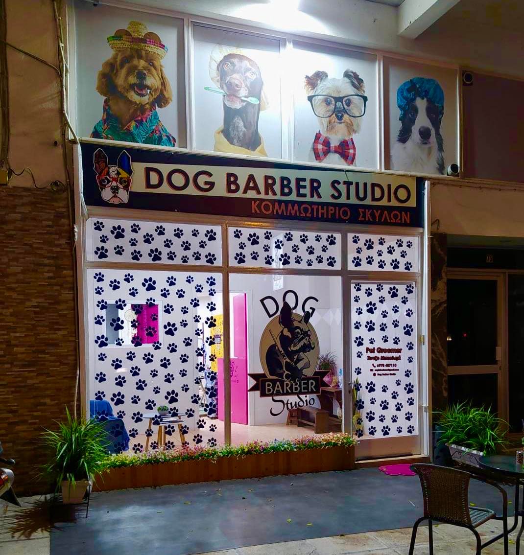 Dog Barber Studio,το αγαπημένο μέρος περιποίησης των τετράποδων φίλων μας